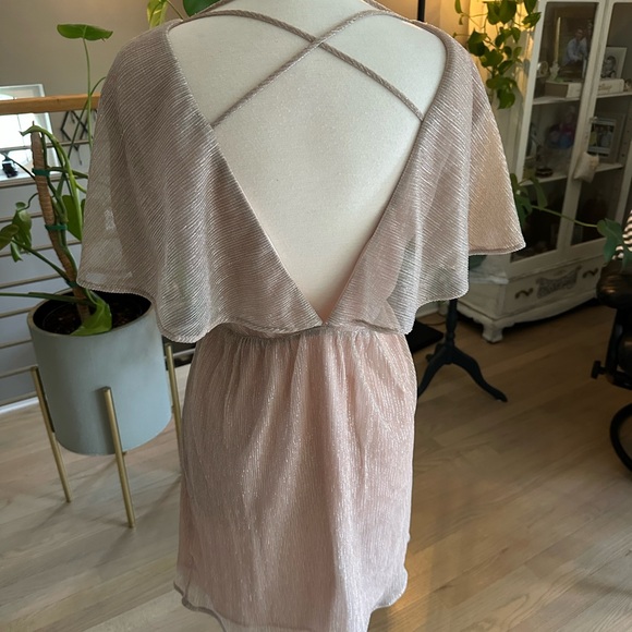 Francesca's Collections Blush Pink Dress - Picture 3 of 10